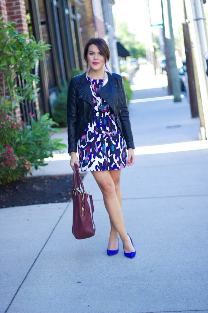 bold in blue & leopard