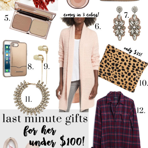 Christmas Gifts Under $100