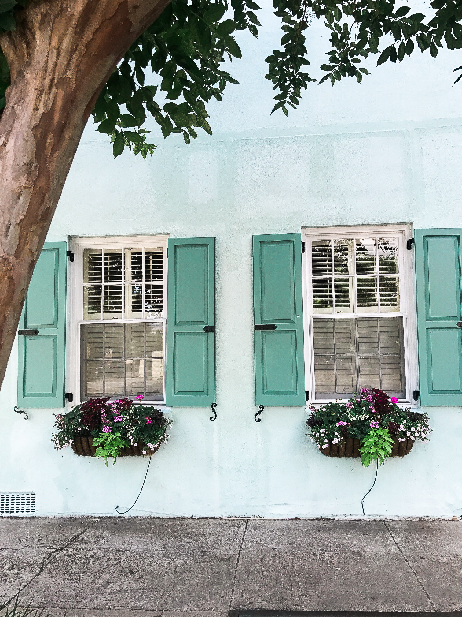 Charleston Travel Guide