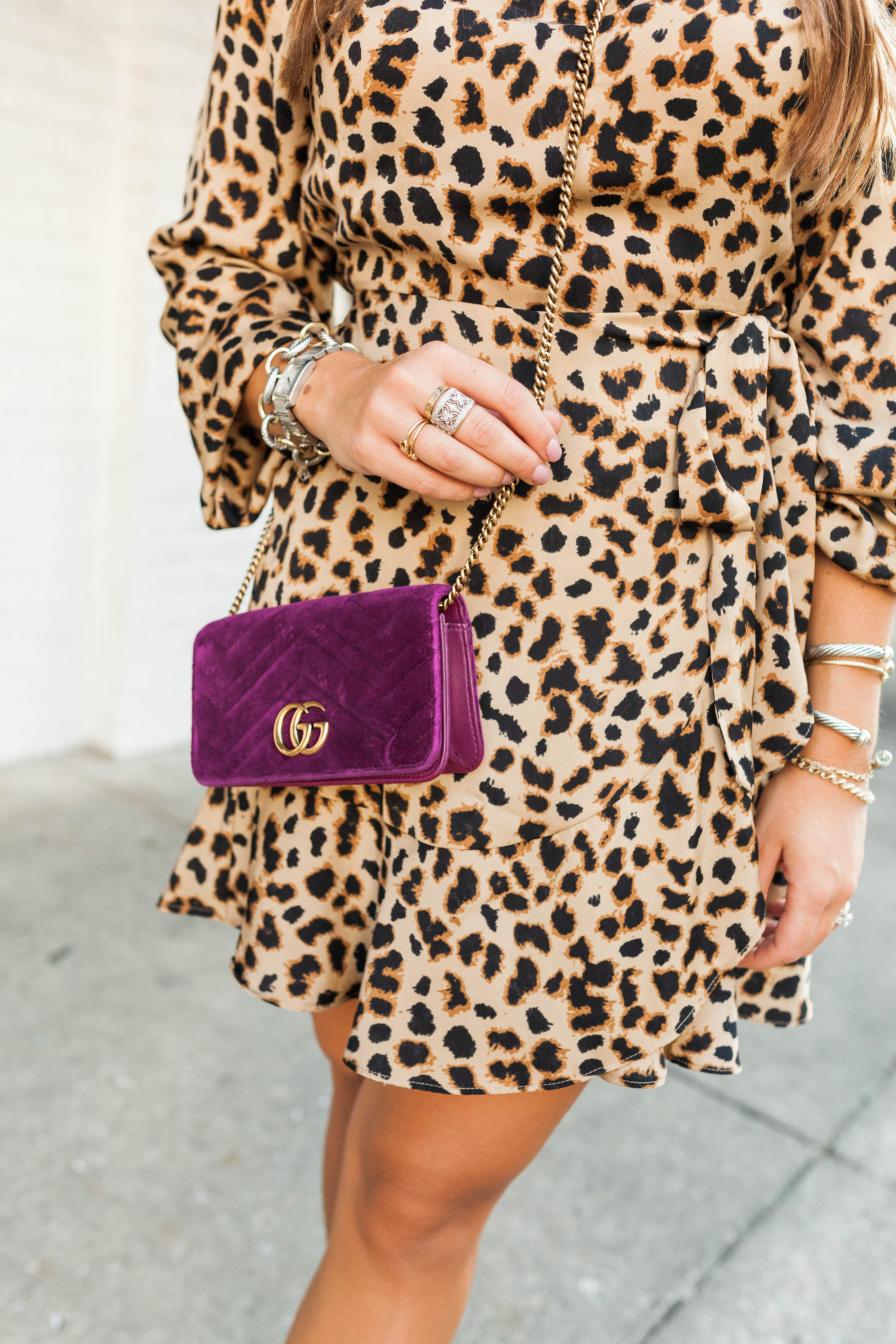 Express Leopard Dress / Glitter & Gingham 