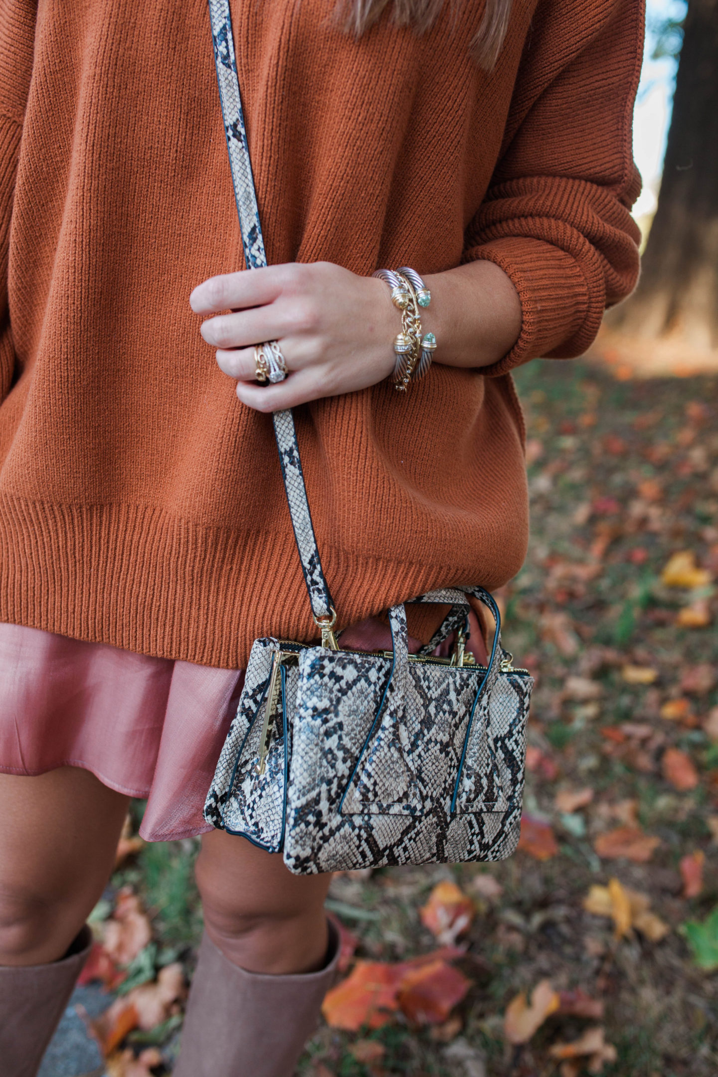 Snakeskin Bag / Glitter & Gingham 