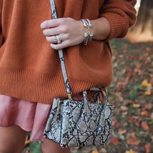 Snakeskin Bag / Glitter & Gingham