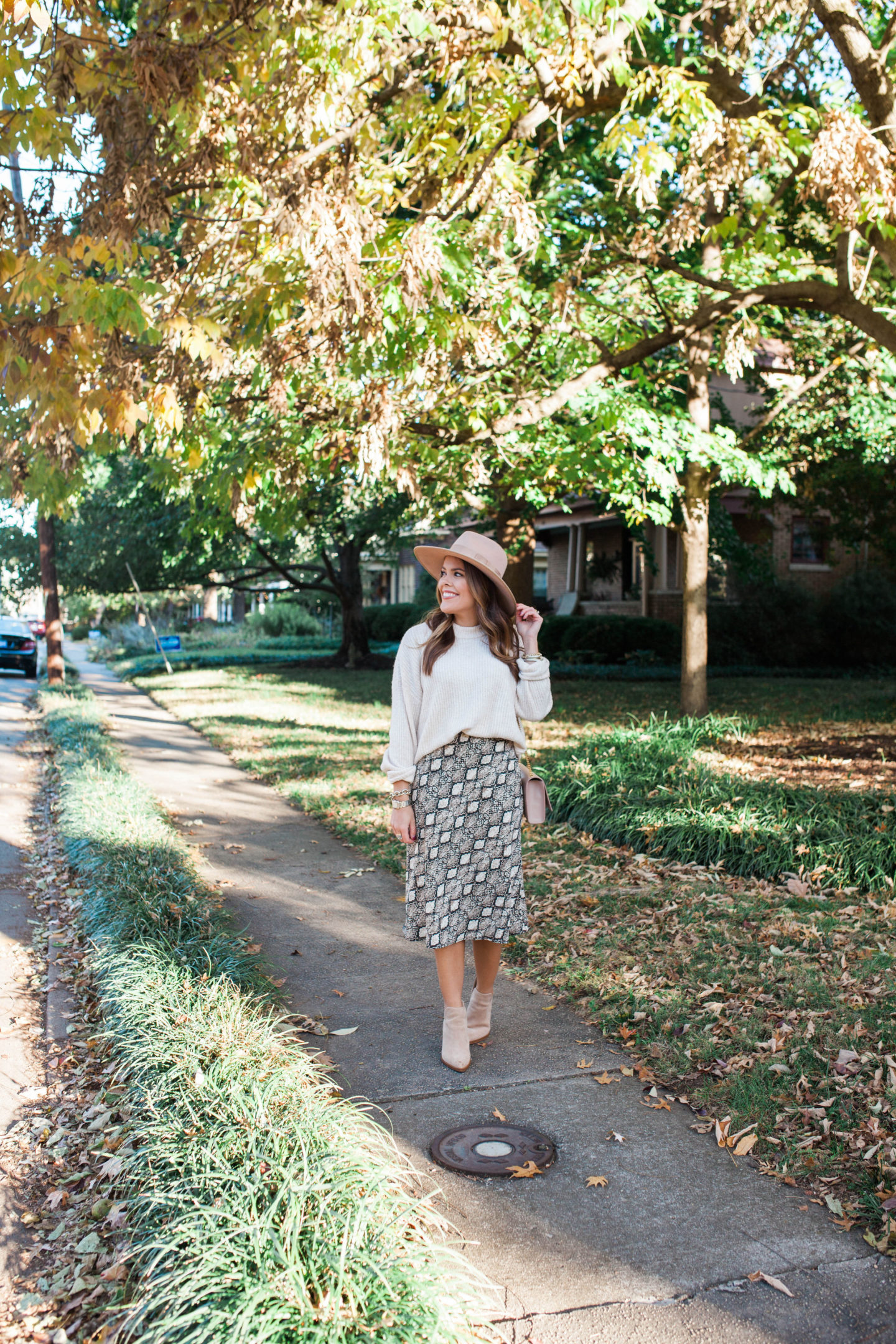 Snakeskin Trend / Glitter & Gingham 