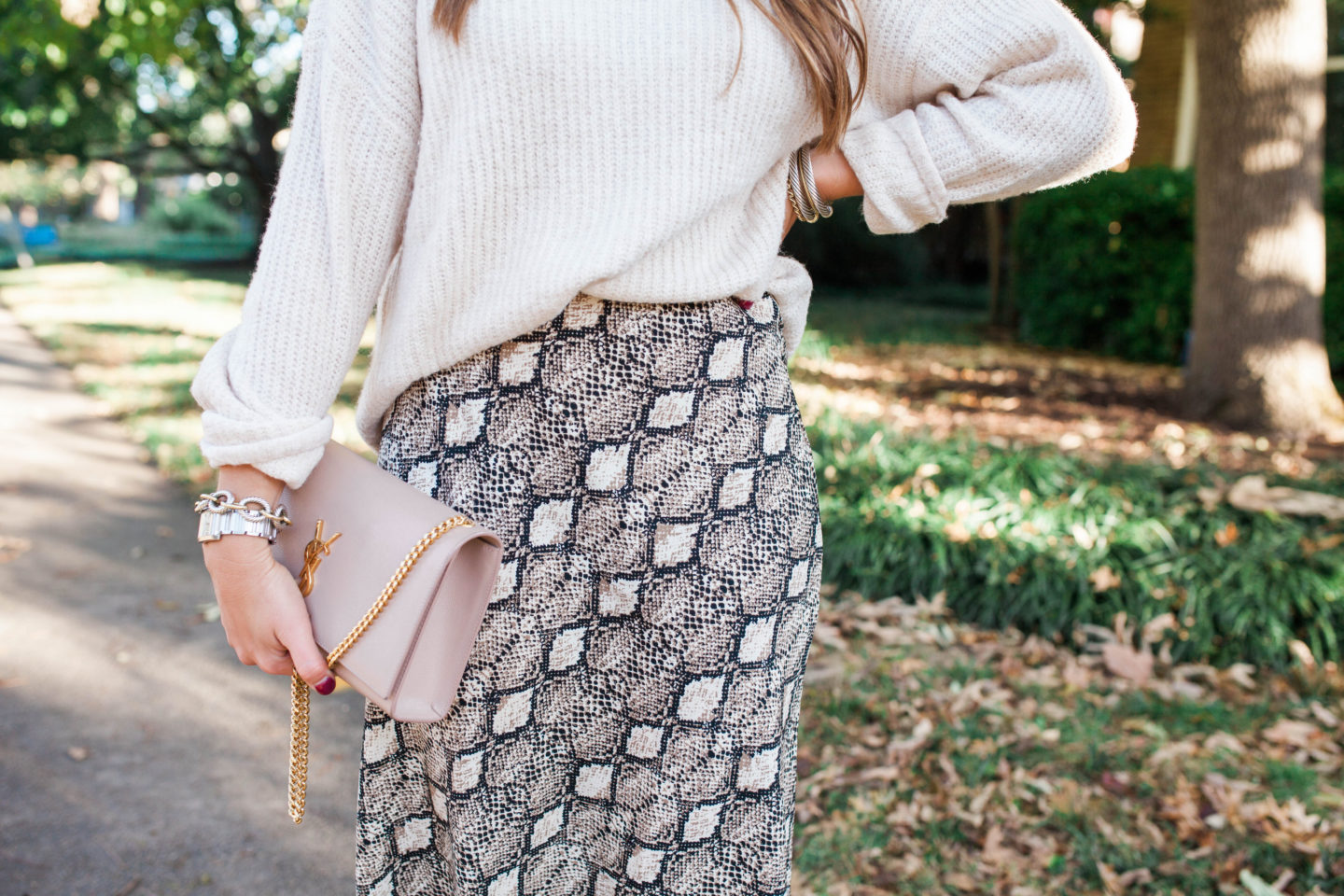 Snakeskin Trend / Glitter & Gingham 