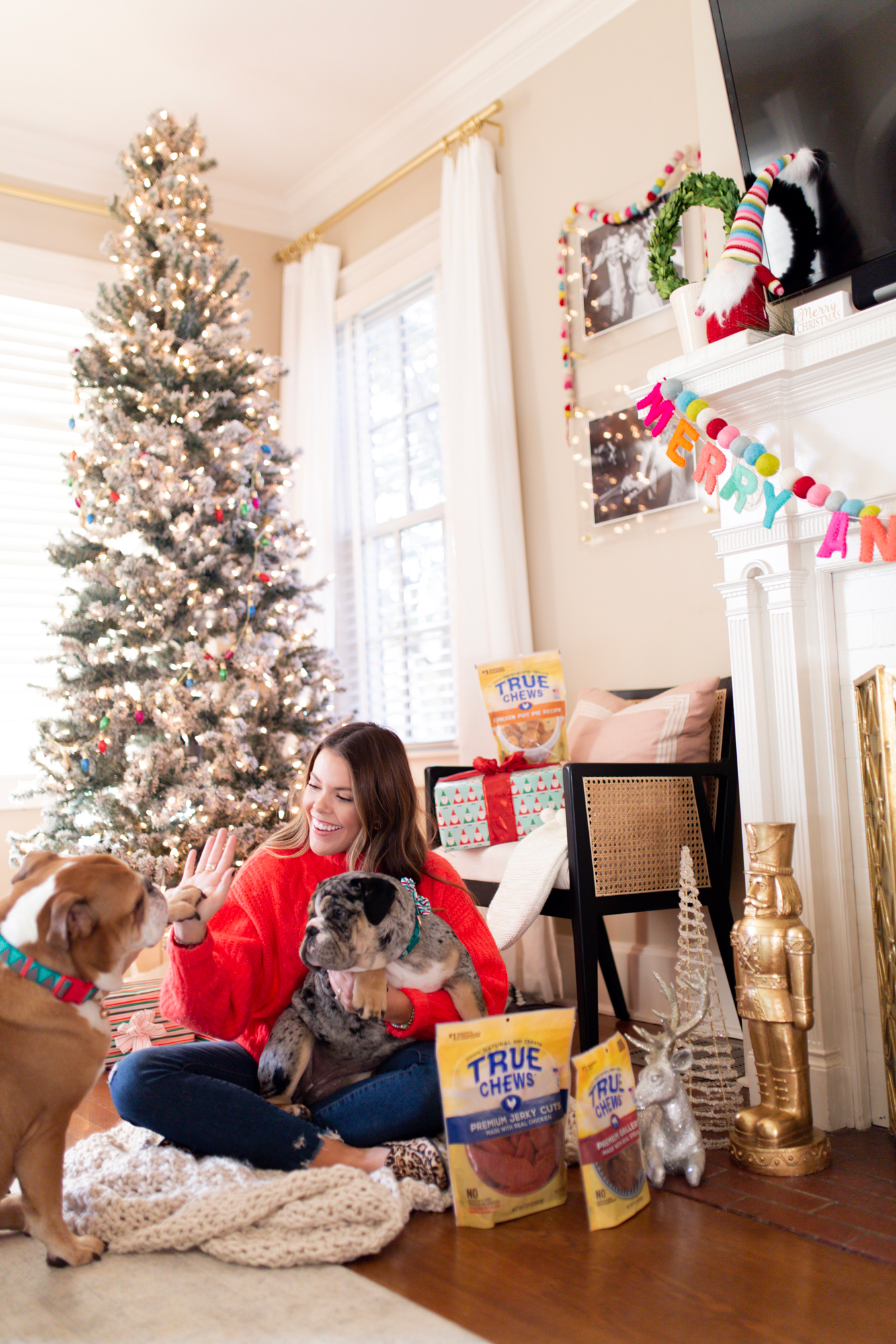 What to give your dogs this holiday season / Glitter & Gingham 