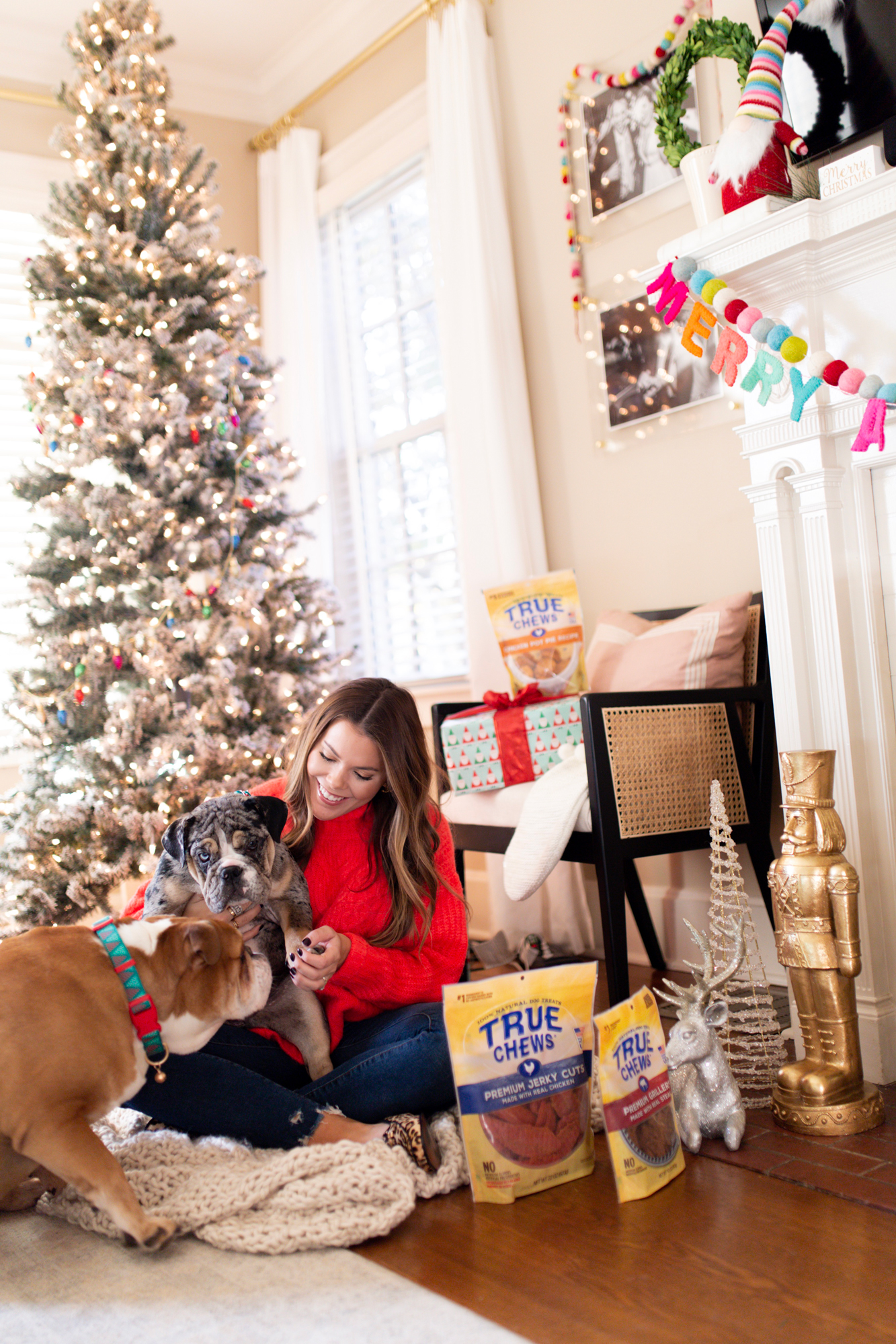 What to give your dogs this holiday season / Glitter & Gingham 