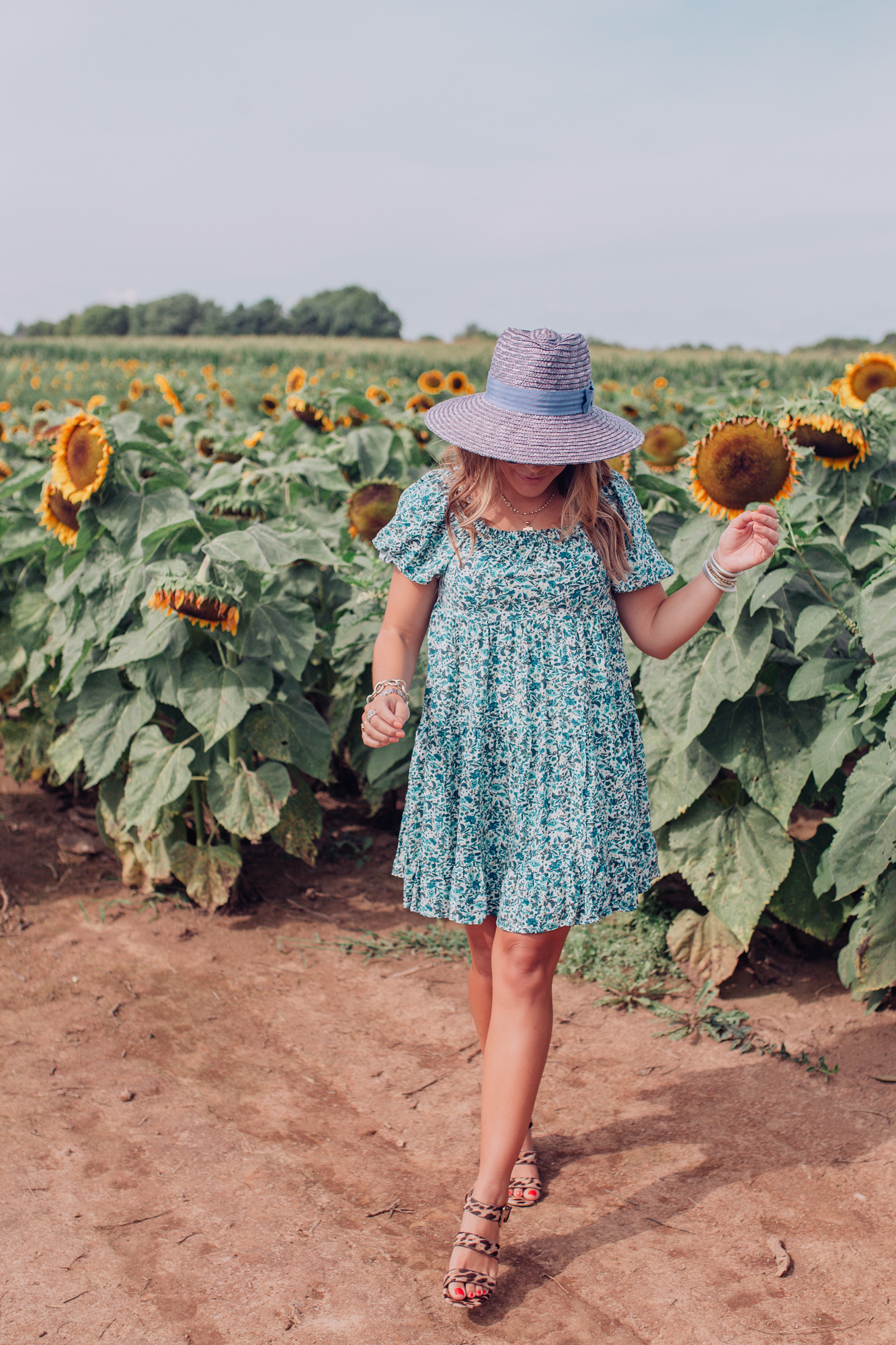 Kentucky Sunflower Field / Glitter & Gingham