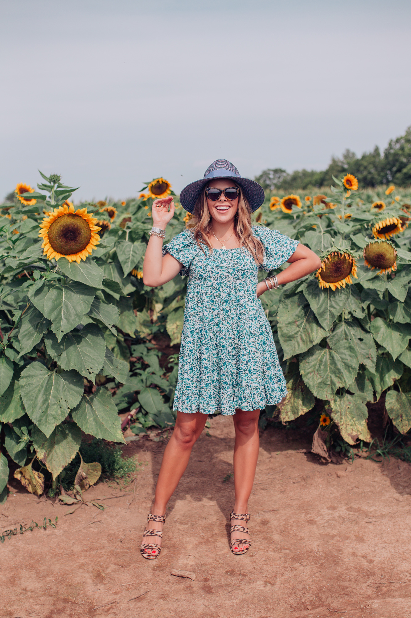 Kentucky Sunflower Field / Glitter & Gingham 