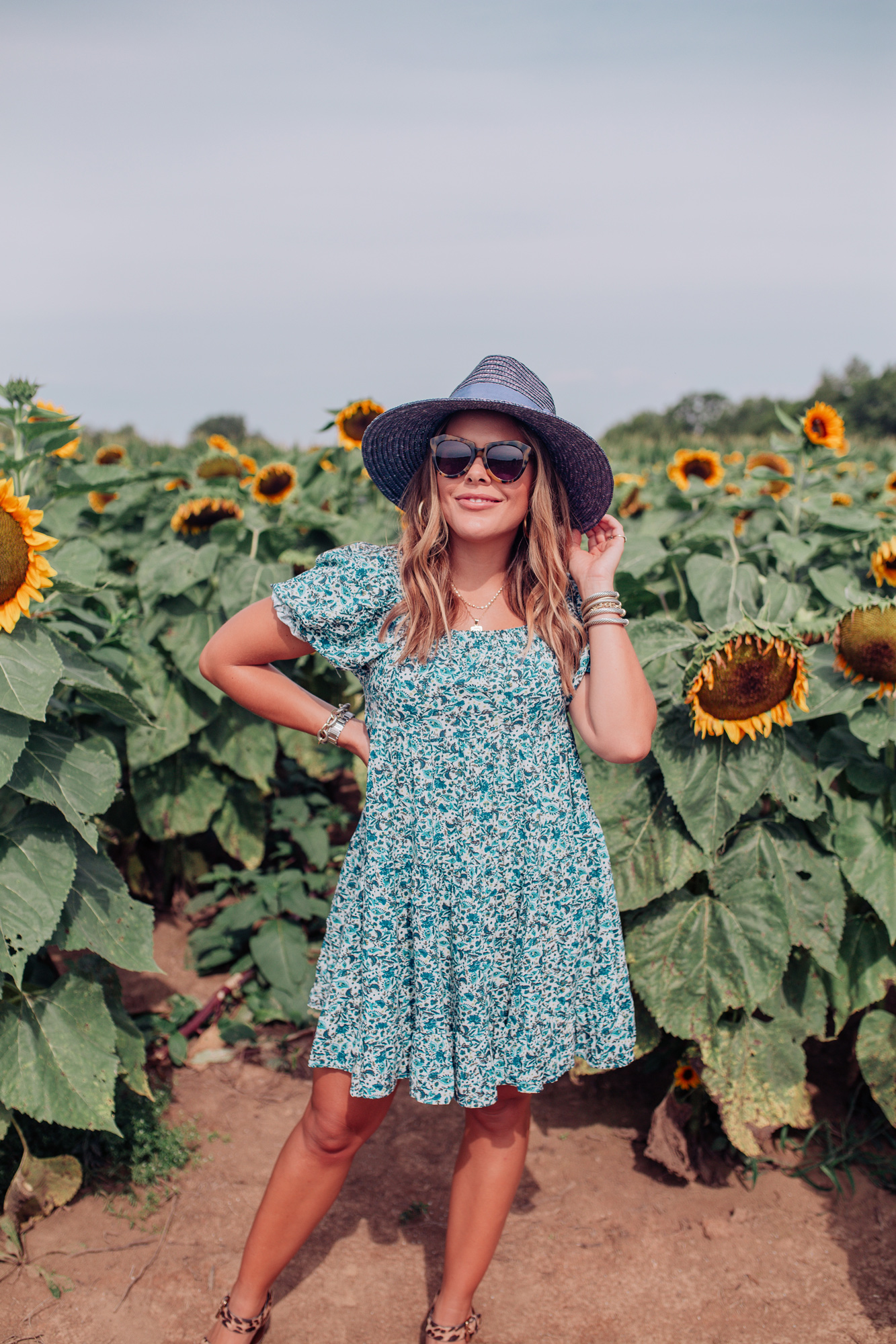 Kentucky Sunflower Field / Glitter & Gingham 