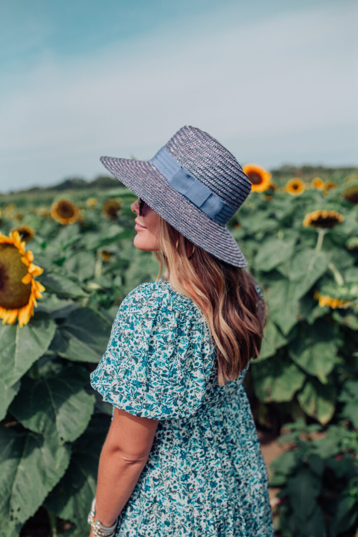 Summertime & a Kentucky Sunflower Field