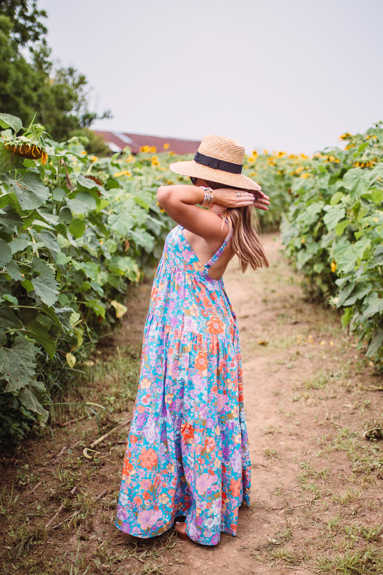 Kentucky Sunflower Field / Glitter & Gingham 