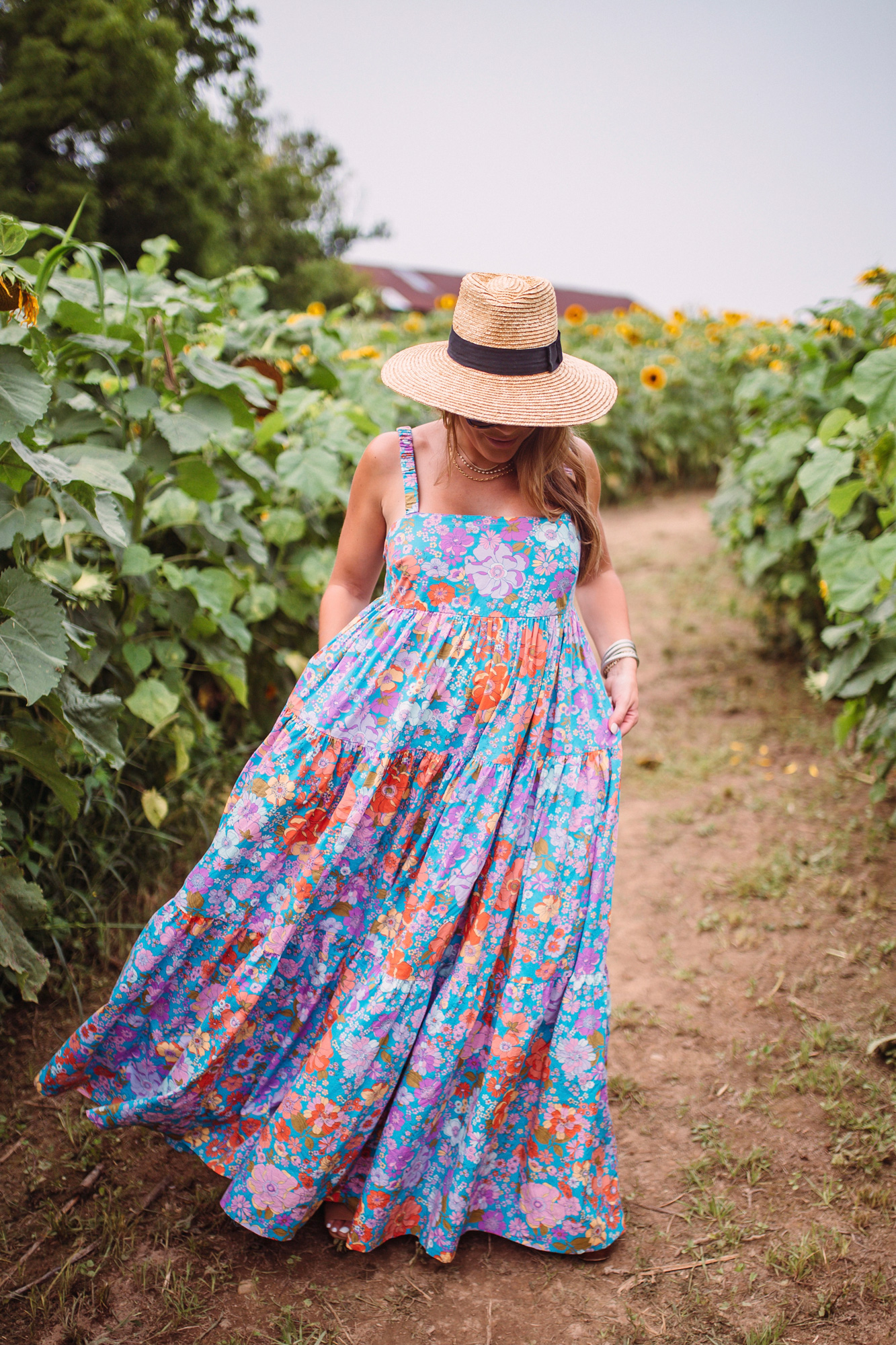 Kentucky Sunflower Field / Glitter & Gingham 