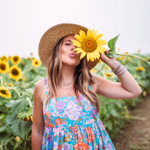 Kentucky Sunflower Field / Glitter & Gingham