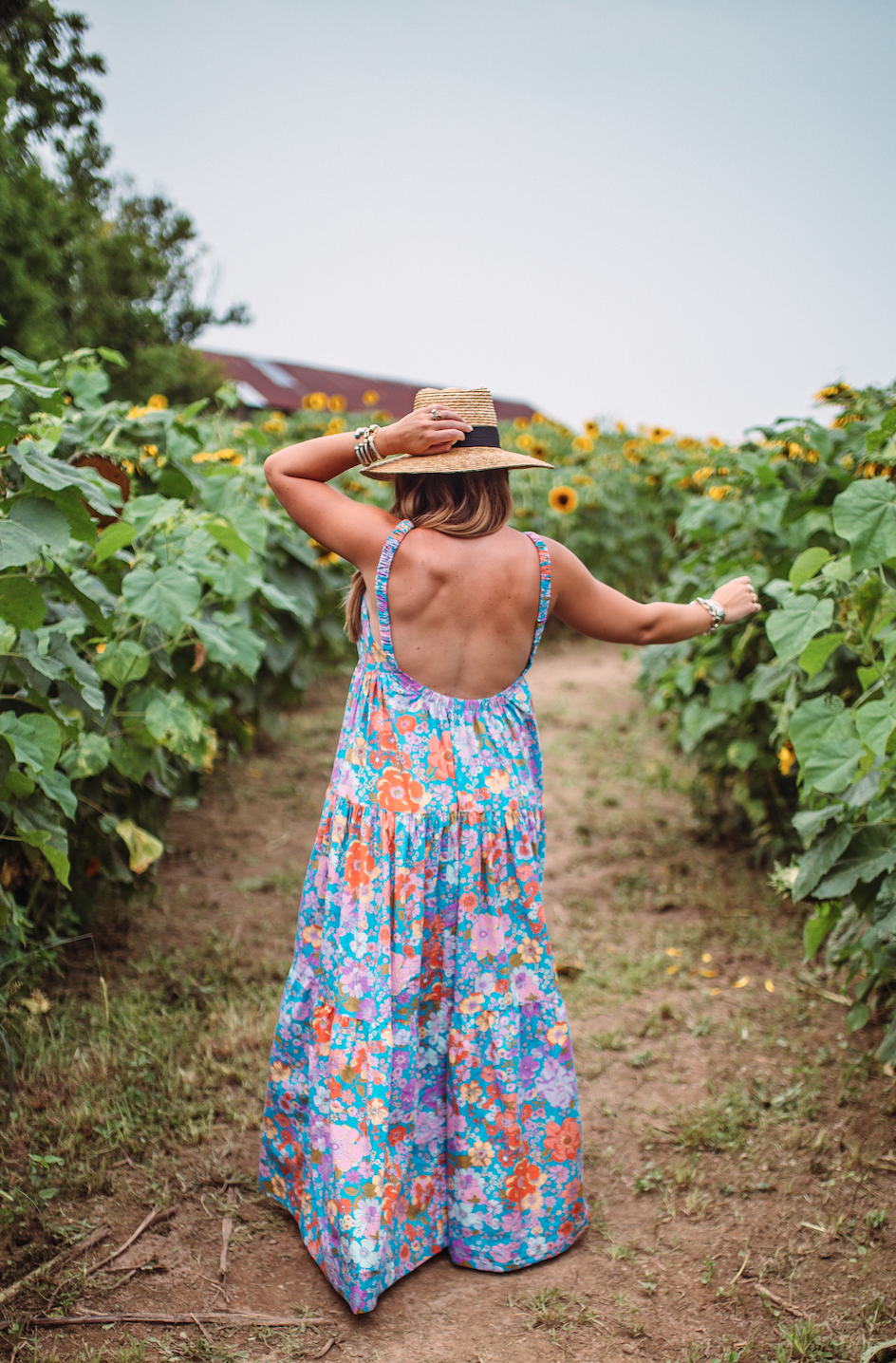 Kentucky Sunflower Field / Glitter & Gingham 