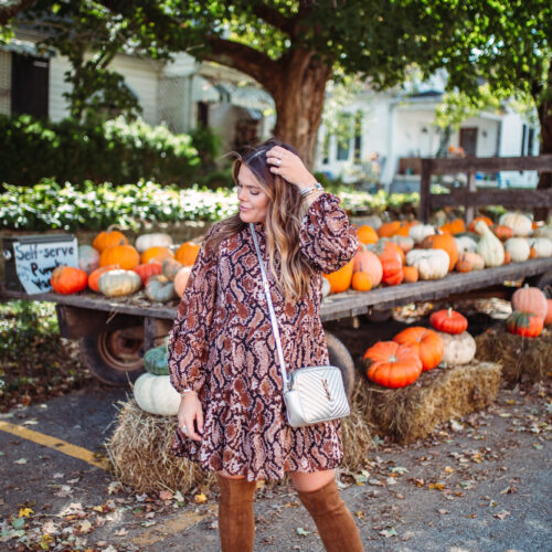 Snakeskin Print for Fall // Glitter & Gingham