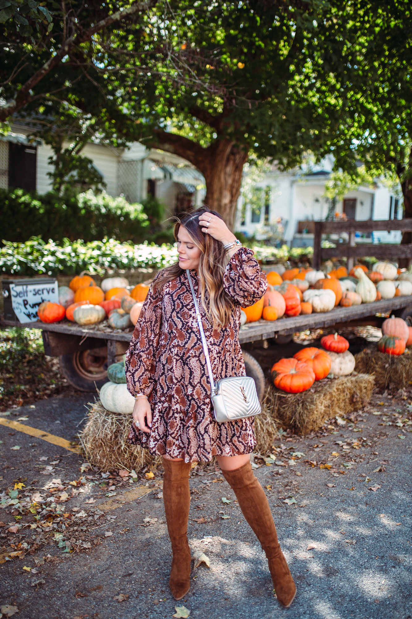 Snakeskin Print for Fall // Glitter & Gingham